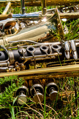 Musical Instruments Music Festival