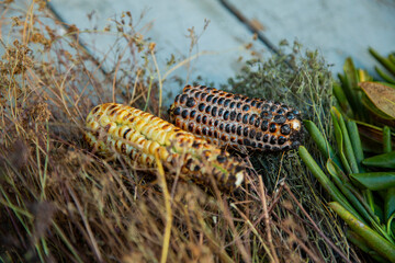 specially grilled corn on a wooden table decorated with grass