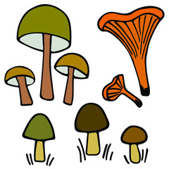 Set of delicious mushrooms. Vector image