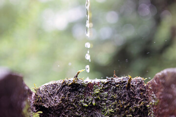 Wasserrad-04
