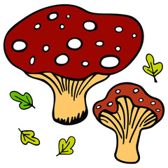 Poisonous mushrooms. Vector image