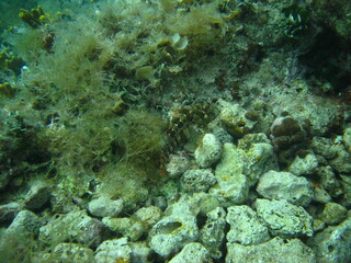 Unter Wasser