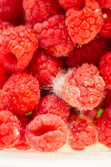 Moldy Raspberries and Strawberries