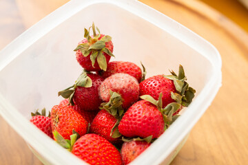 Moldy Raspberries and Strawberries