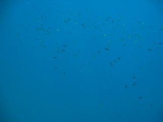 Unter Wasser