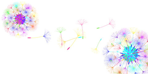 Dandelion background.