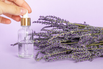 Lavender essential oil, drop falls from cosmetic pipette and lavender bouquet on violet background
