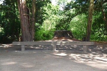 Ławka w Parku