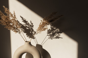 Dry pampas grass / reed in stylish vase. Shadows on the wall. Silhouette in sun light