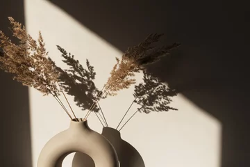 Trockenes Pampasgras / Schilf in stilvoller Vase. Schatten an der Wand. Silhouette im Sonnenlicht © Floral Deco