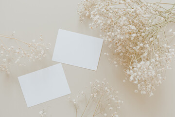 Blank paper sheet business cards with mockup copy space and gypsophila flowers on beige background. Flat lay, top view.