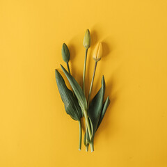 Yellow tulip flowers bouquet on yellow background. Flat lay, top view floral festive holiday concept