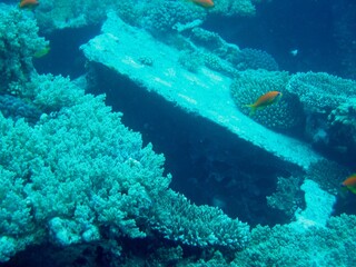 Unter Wasser