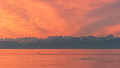 European Alps and lake Constance at sunset. Red sky evening in Constance, Germany
