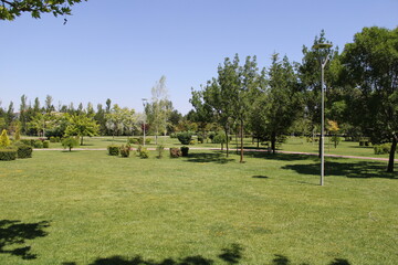 NationalPark, Park,
landscape, 
japanese garden, garden