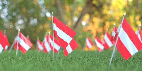 Flags of Austria in the grass. National holiday related 3D rendering