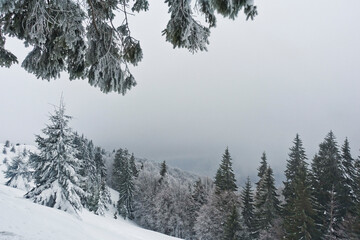 snow covered trees, mountains, winter