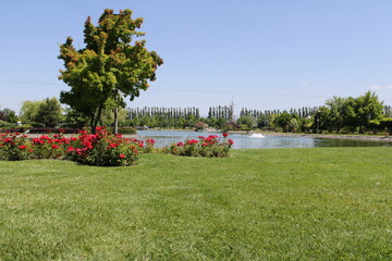 NationalPark, Park,
landscape, 
japanese garden, garden