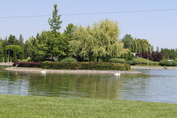 NationalPark, Park,
landscape, 
japanese garden, garden