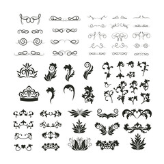 Silhouette decorative leaves elements set design of Ornament and best quality product theme Vector illustration