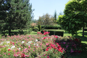 NationalPark, Park,
landscape, 
japanese garden, garden