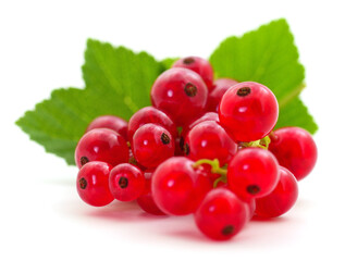 Red currants with green leaves.