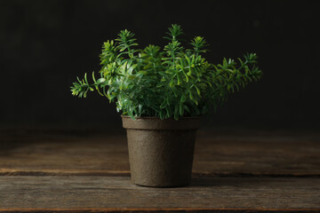 Artificial plant in flower pot on wooden table