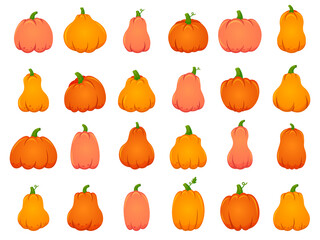 Halloween fall pumpkins. Cartoon traditional decoration, holiday orange pumpkin, october Halloween harvest isolated vector illustration icons set. Halloween vegetable traditional, holiday celebration