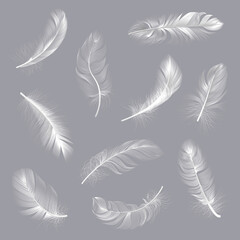 Realistic feathers. Fluffy white twirled feathers, bird wing falling weightless feather, flying lung quill isolated vector illustration set. White feather, fluffy soft realistic collection