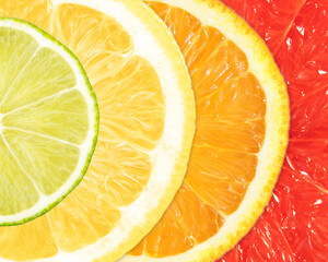 Bright banner with slices of citrus fruits - lemon, lime, orange and grapefruit. Advertising.