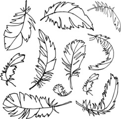 Obraz premium Isolated FEATHERS on white, hand drawn, black and white. Vector EPS 10. Use for print on greeting card, invitations, dishes, textiles, wedding, books, wallpapers, fabric, illustration, decor.