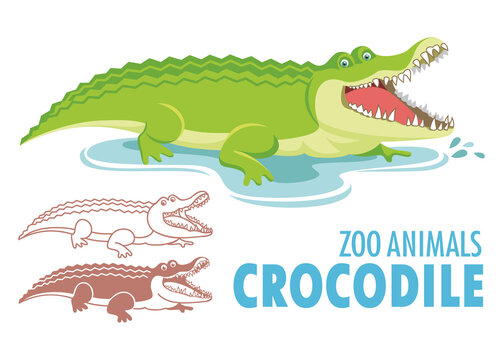 Crocodile cartoon illustration