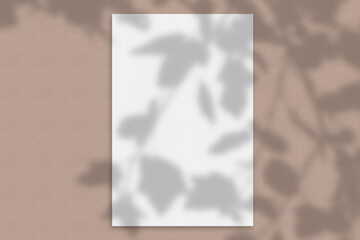 Mockup of a paper card with a tree shadow