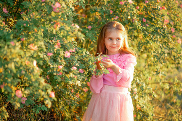 little girl in the garden enjoys bloom briar