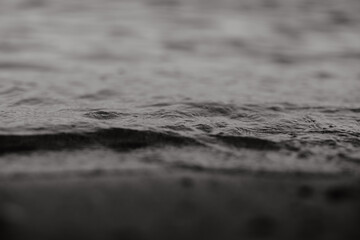 Au bord de l'eau