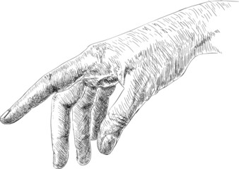 hand drawn sketch of hand