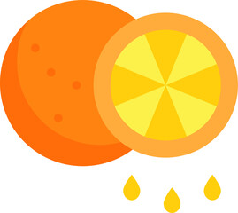 vector illustration of an orange fruit