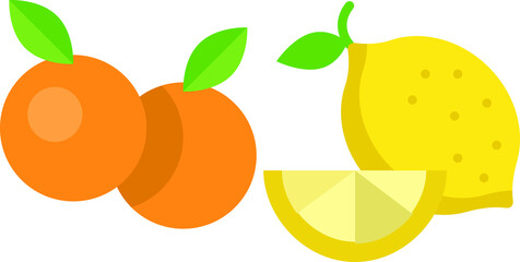 vector illustration of a fruit
