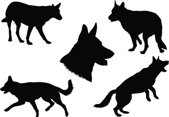 Black silhouettes of an German Shepherd dog in various poses on a white background