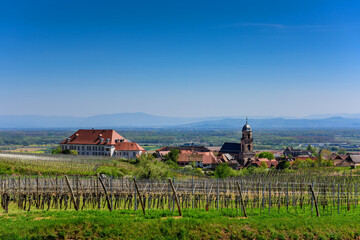 Pastoral view of the town of Saint-Hippolyte surrounded by the famous Alsatian vineyards