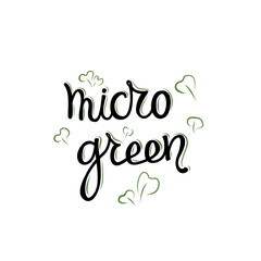 Decorative lettering on the theme of Microgreen or children's greens. Letters and leaves on a white background. Vector illustration of a young green grass.