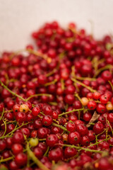 red currant
