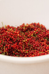 red currant 