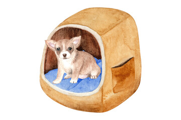 Cute chihuahua puppy in the house. Watercolor drawing for room decoration, polygraphy and much more