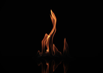 Beautiful bright fire flames on black background