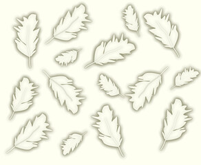 White Feathers Illustration Pattern, Background 