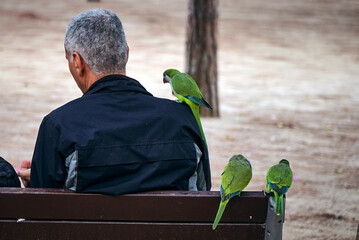 A green parrot sits on the shoulder of a man who sits on a trap in Barcelona Park                     