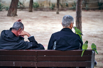 A green parrot sits on the shoulder of a man who sits on a trap in Barcelona Park                     