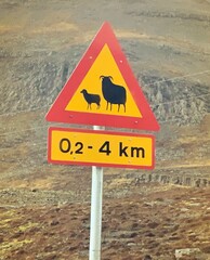 Sheep Crossing Sign - Iceland