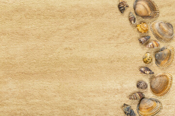 Fototapeta na wymiar Seashells on beige stone surface. Copy space. Space for text. Rough light background.